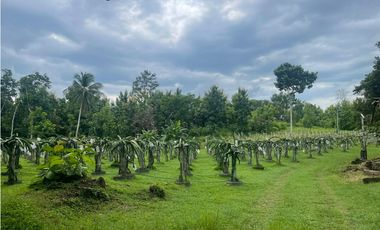 Finca de 41 hectáreas en Penonomé