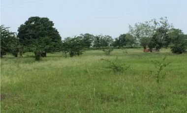 Finca en Venta en Palmar de Varela