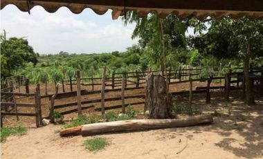 Finca en Venta en Palmar de Varela