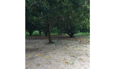 Finca en Venta en Palmar de Varela