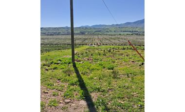 Terreno 5000 metros sector san Julián , valle del encanto, Ovalle