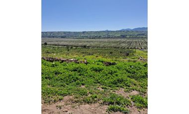 Terreno 5000 metros sector san Julián , valle del encanto, Ovalle