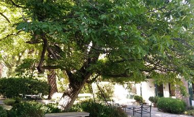 Casa en Venta en Villaseca 800
