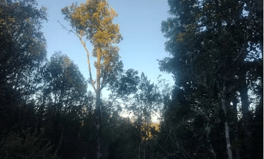 Sitio en Venta en condominio campos de neo Alerce