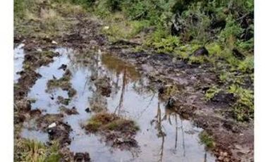 Sitio en Venta en condominio campos de neo Alerce