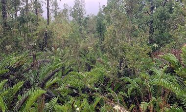 Sitio en Venta en condominio campos de neo Alerce