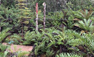 Sitio en Venta en condominio campos de neo Alerce