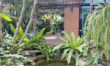 3 Bedroom House for sale in Nong Chom, Chiang Mai