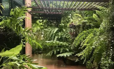 3 Bedroom House for sale in Nong Chom, Chiang Mai