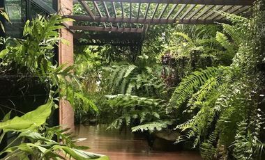 3 Bedroom House for sale in Nong Chom, Chiang Mai