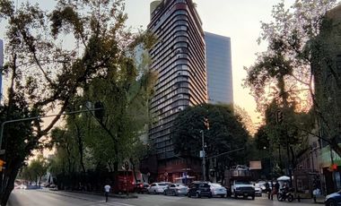 Insurgentes Sur / San Rafael