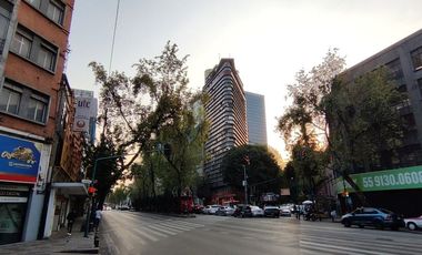 Insurgentes Sur / San Rafael