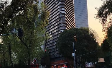 Insurgentes Sur / San Rafael