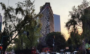 Insurgentes Sur / San Rafael