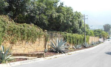 Venta dos casas en terreno 18660 m2,  Zona Carretera Nacional , El Barro , N.L.