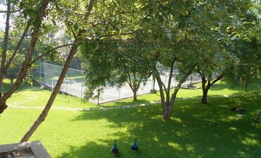 Venta dos casas en terreno 18660 m2,  Zona Carretera Nacional , El Barro , N.L.