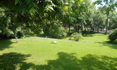 Venta dos casas en terreno 18660 m2,  Zona Carretera Nacional , El Barro , N.L.