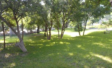 Venta dos casas en terreno 18660 m2,  Zona Carretera Nacional , El Barro , N.L.