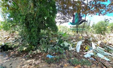 VENDO UNA HECTAREA PARA SIEMBROS