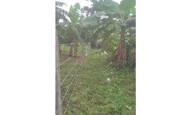 VENDO UNA HECTAREA PARA SIEMBROS