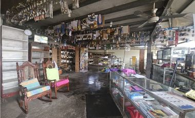 Venta de Terreno Comercial en La Chorrera, Vía La Mitra
