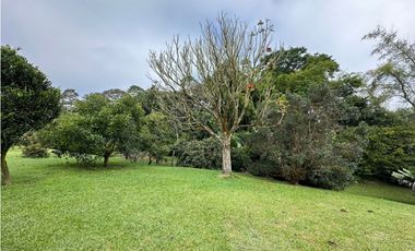 Casa para Renta en Llanogrande Pontezuela