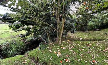 Casa para Renta en Llanogrande Pontezuela
