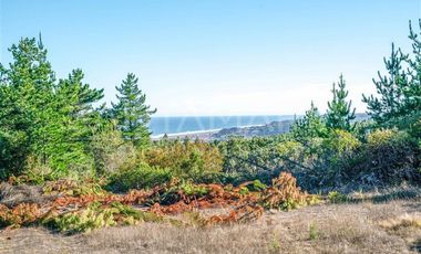 Parcela en Venta en N-102, Cobquecura