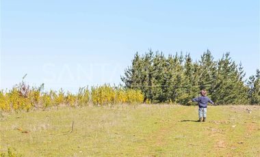 Parcela en Venta en N-102, Cobquecura