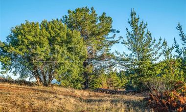 Parcela en Venta en N-102, Cobquecura