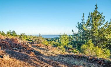 Parcela en Venta en N-102, Cobquecura