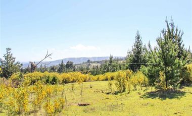 Parcela en Venta en N-102, Cobquecura