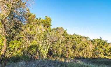 Parcela en Venta en N-102, Cobquecura