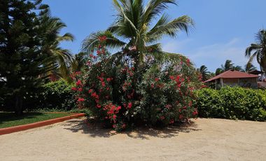Casa en Barra de Potosi