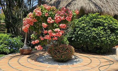 Casa en Barra de Potosi