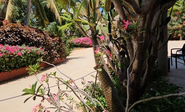 Casa en Barra de Potosi