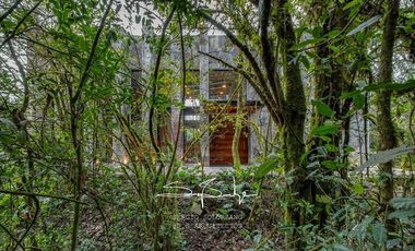 Spectacular house in Valle de Bravo, nest in a lakefront, forest lot sorrounded by natural springs.