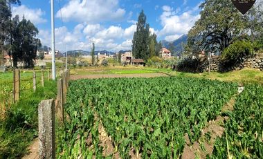 Terreno de venta en San Joaquín – código:21359