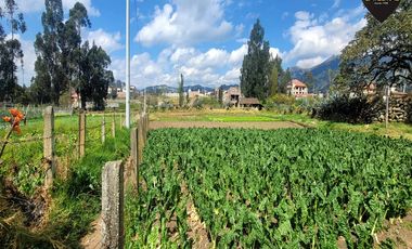 Terreno de venta en San Joaquín – código:21359