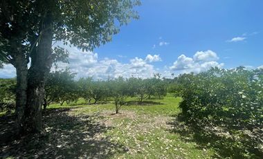 VENTA de FINCAS en PEREIRA