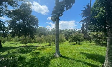 VENTA de FINCAS en PEREIRA