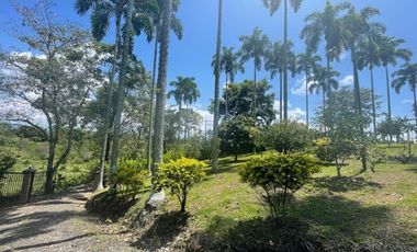 VENTA de FINCAS en PEREIRA