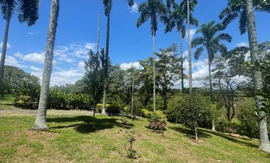VENTA de FINCAS en PEREIRA