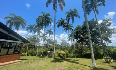 VENTA de FINCAS en PEREIRA