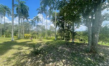 VENTA de FINCAS en PEREIRA
