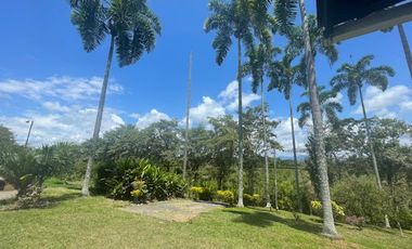 VENTA de FINCAS en PEREIRA