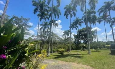 VENTA de FINCAS en PEREIRA