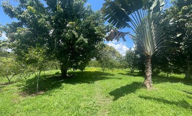 VENTA de FINCAS en PEREIRA