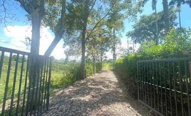 VENTA de FINCAS en PEREIRA