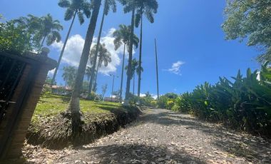 VENTA de FINCAS en PEREIRA